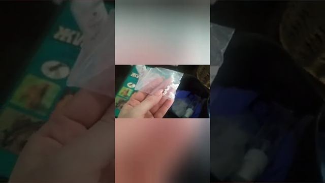 Моя аптечка для оказания первой помощи бездомным животным ???⚕️