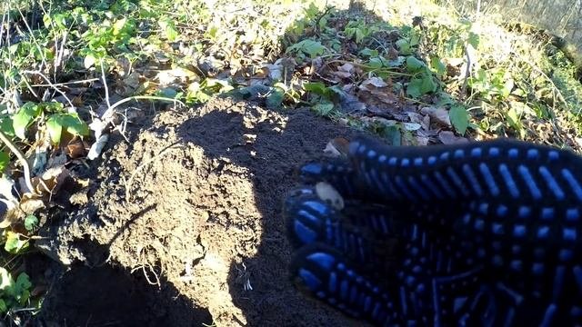 В ПОИСКАХ КЛАДА ВОЗЛЕ СТАРИННОГО ЗАМКА ГОТОВЛЮ ШАШЛЫК