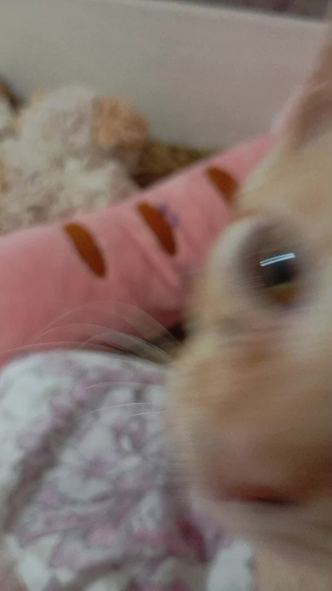 е