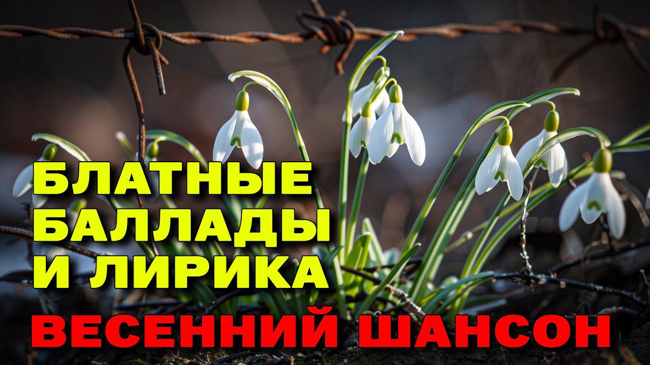 Блатные баллады и лирика - Весенний шансон - Лучшие песни весны #русскийшансон