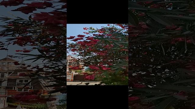 Замок у Моря