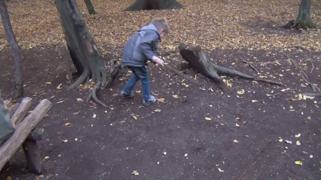 24102015 Словения