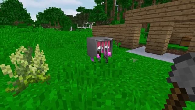 THE RAINBOW BLOCKS! (Minecraft)