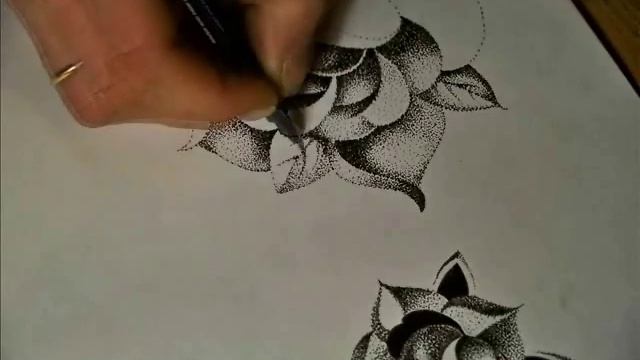 dot rose.wmv