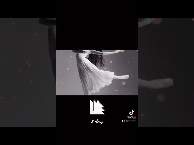 Butterfly new song