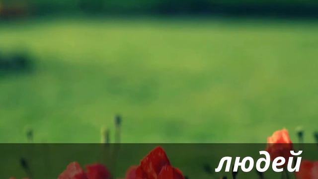 Будем беречь природу!