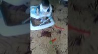 Очень интересное видео 9 месячный ребёнок))