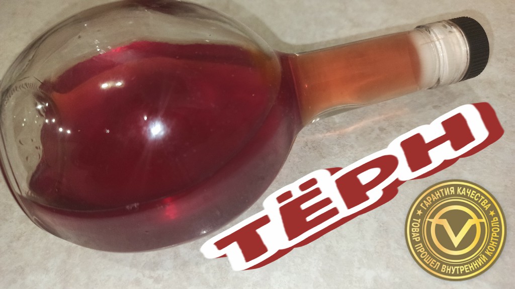 НАСТОЙКА из ТЁРНА на Сахарном САМОГОНЕ, Рецепт и ДЕГУСТАЦИЯ