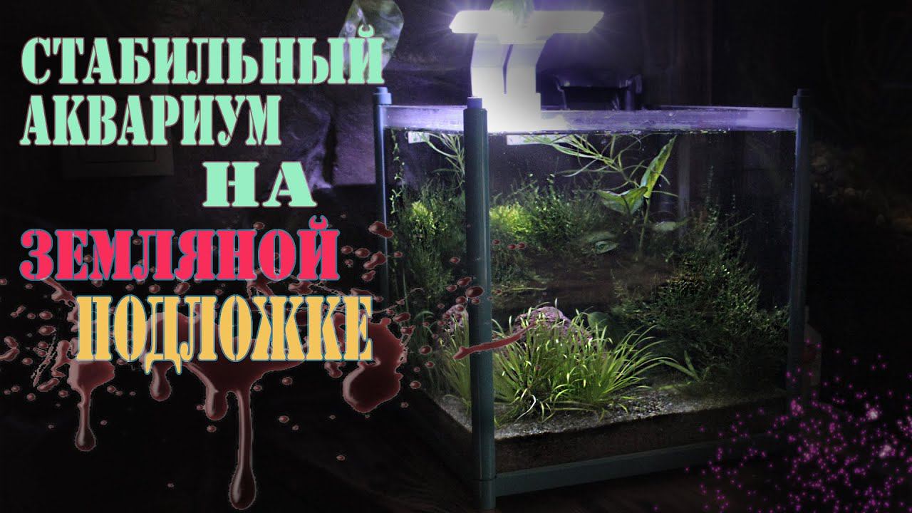 Cтабильный аквариум на ЗЕМЛЯНОЙ подложке НЕТ ВОДОРОСЛЕЙ