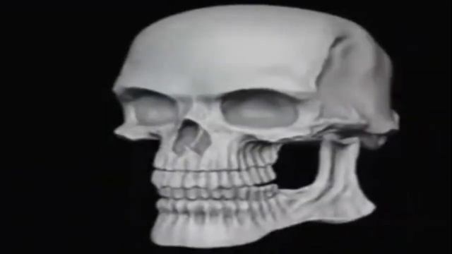 Череп крутится и в конце улыбается - шаблон для мемов