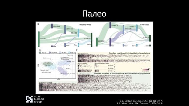 Еда и бактерии: как изменения в питании влияют на микробиоту кишечника
