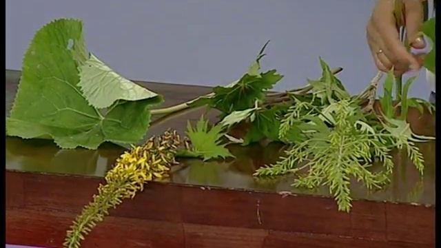 Советы ландшафтного дизайнера: бузульники