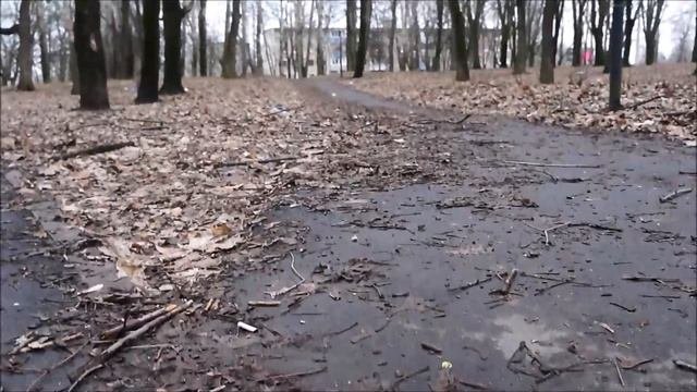 Донской Тульская область.Комсомольский парк.(04.04.2017)