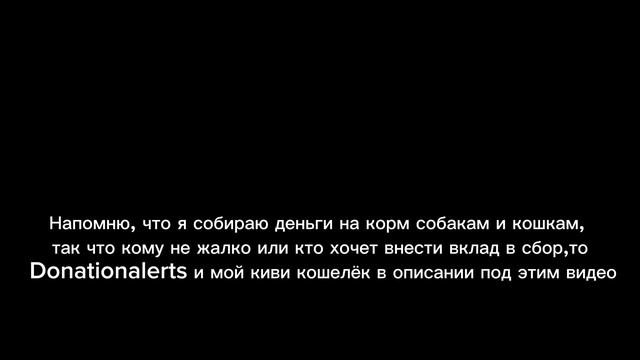 12 ДЕНЬ СБОРА СРЕДСТВ НА КОРМ ЖИВОТНЫМ