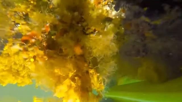 Kayaking In The Stockholm Archipelago, Summer 2018, Drone & GoPro