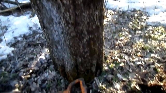 Клад!!! Эстафета. И очень хорошие находки