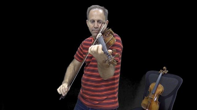 Holstein Workshop Strad vs Amati