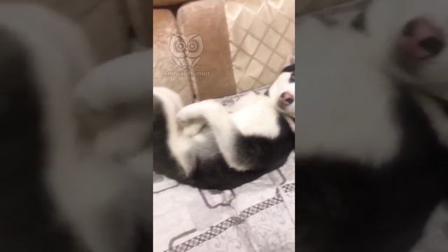 Прогрессивное расслабление мышц.