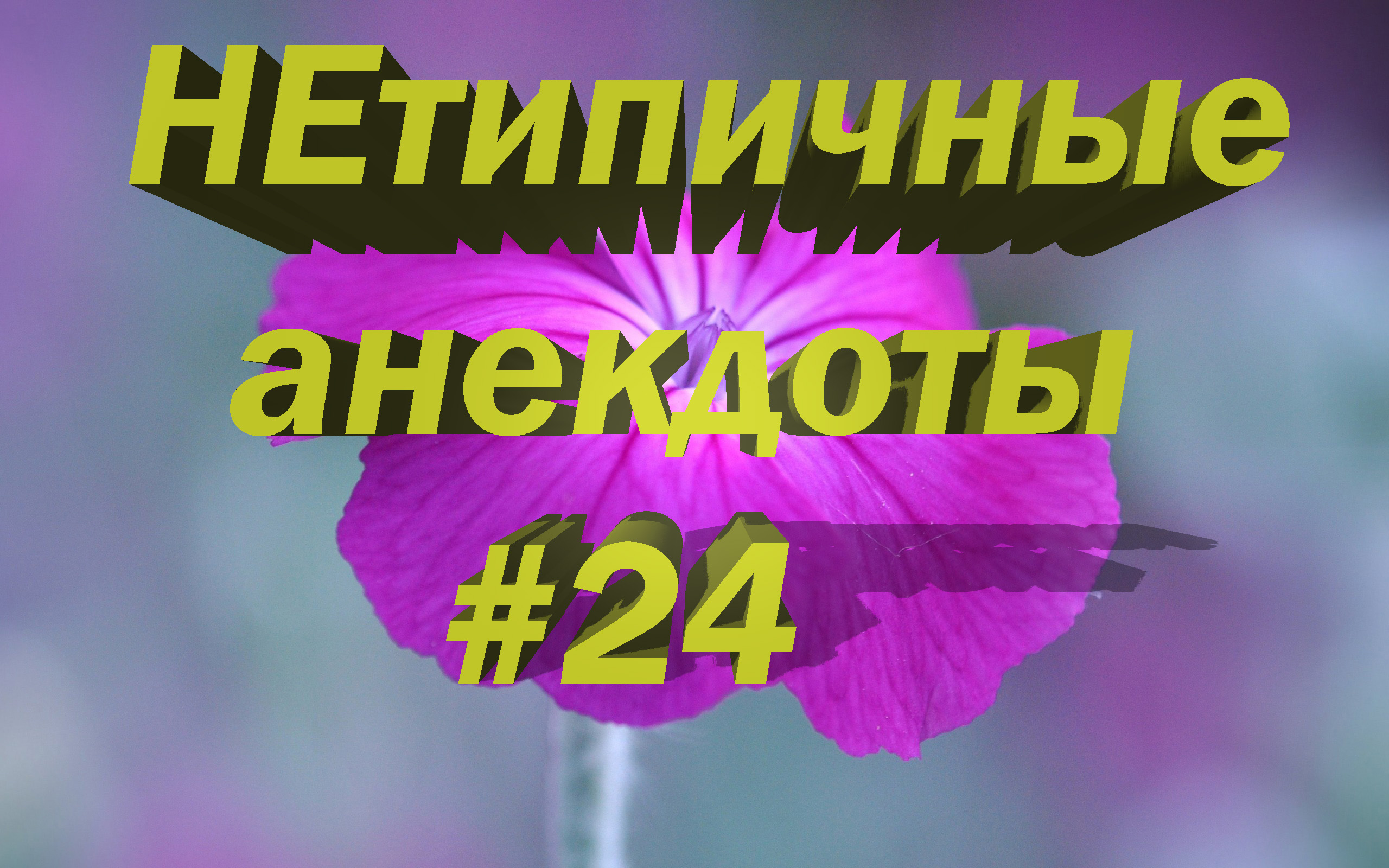 НЕтипичные анекдоты #24. Анекдот дня! Смешные анекдоты!mp4