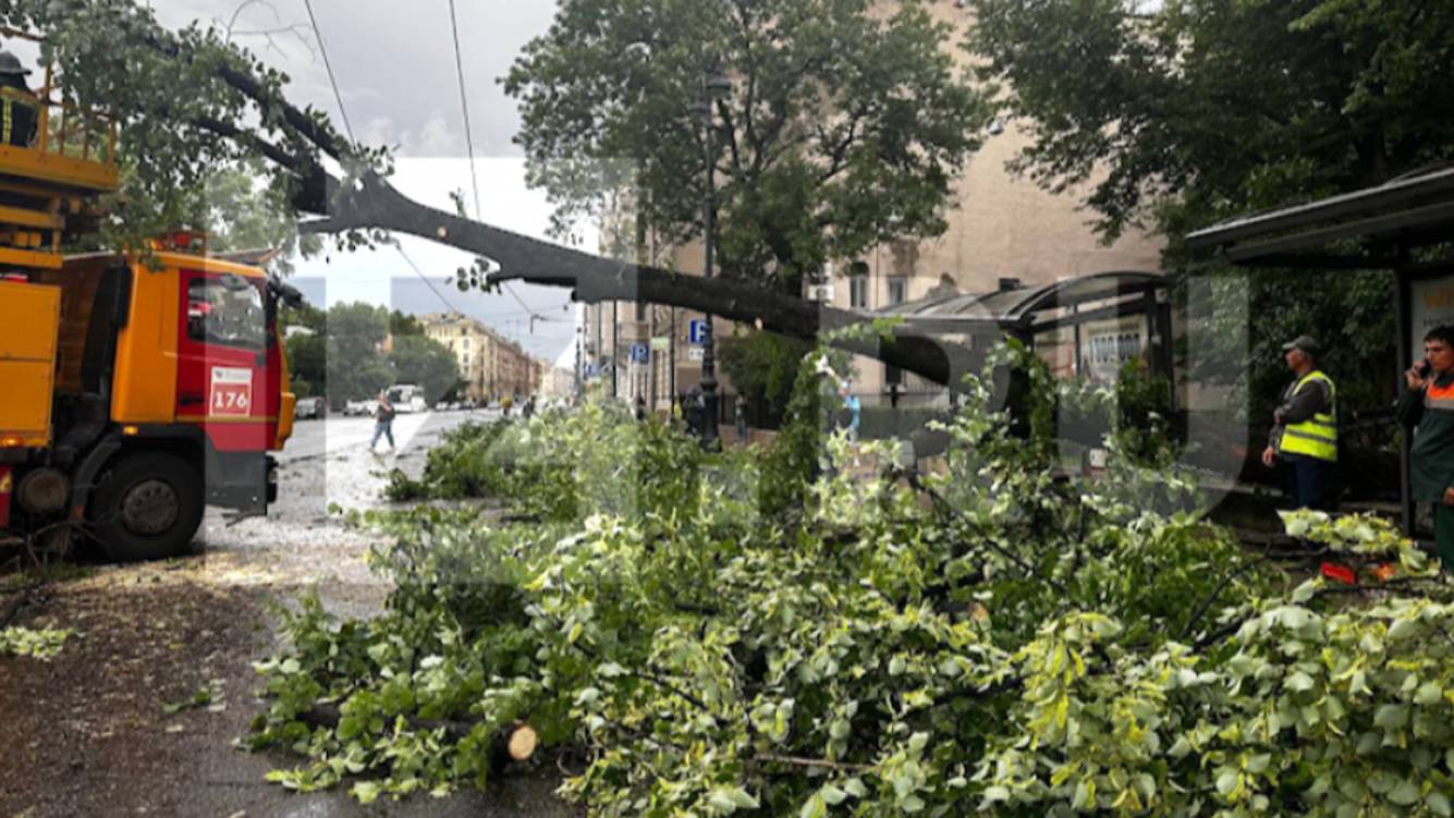 Город приходит в себя: в Петербурге ликвидируют последствия мощнейшего урагана