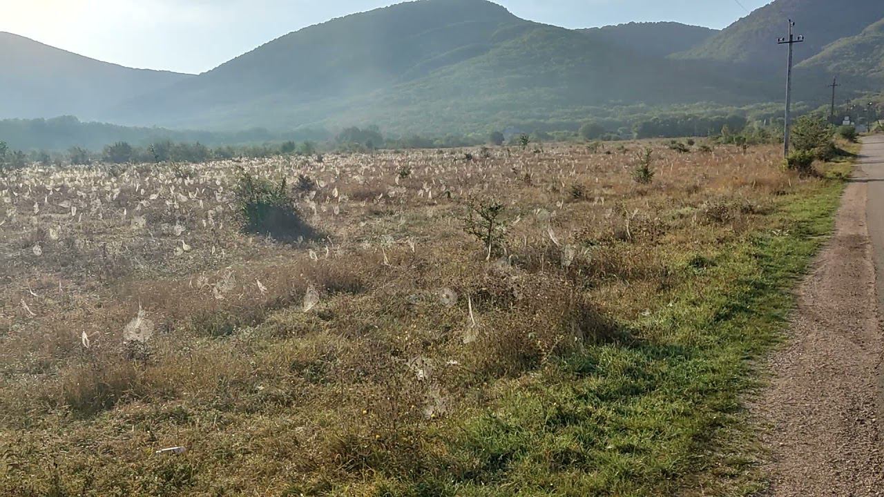 Утро в Байдарской долине.