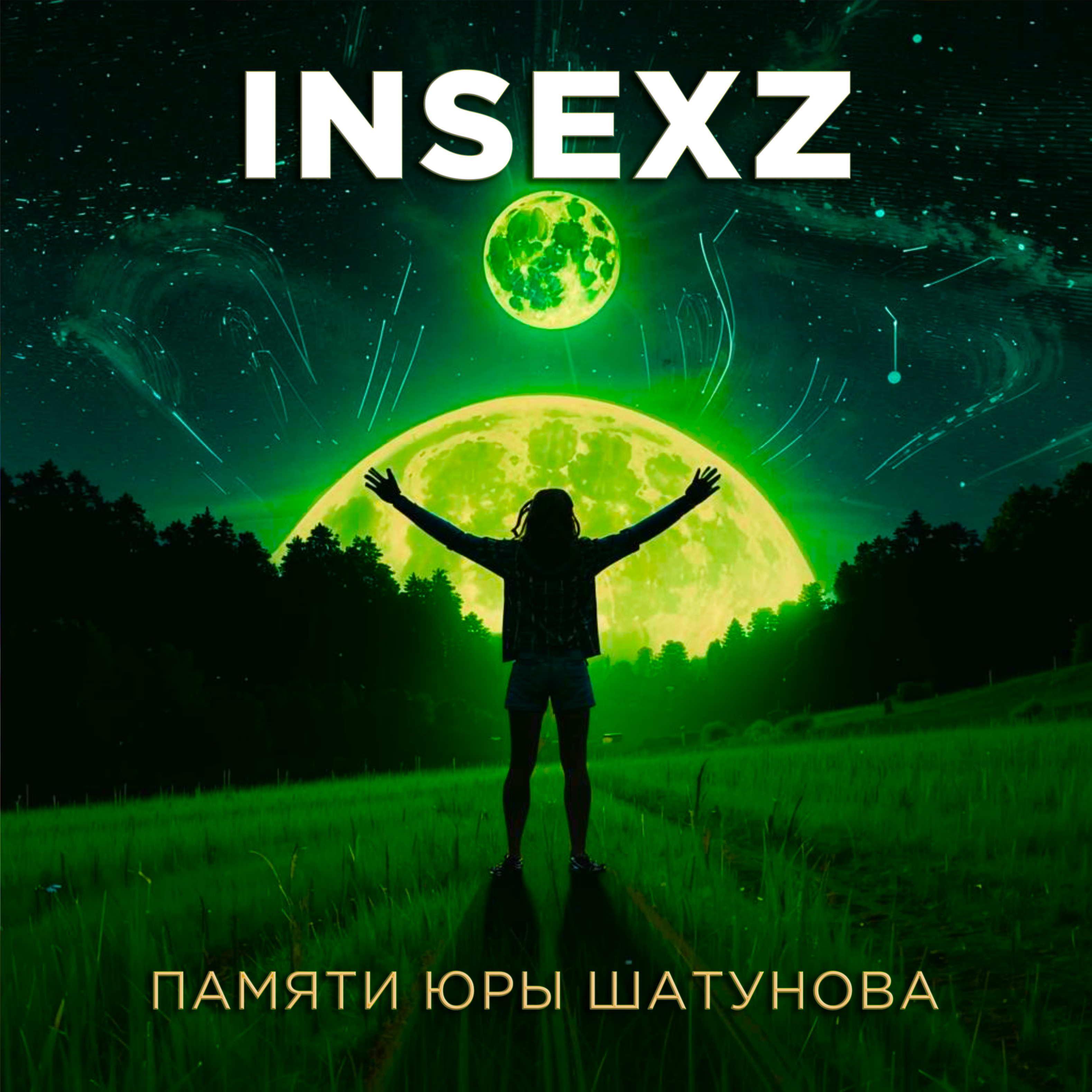 INSEXZ - "Памяти Юры Шатунова" ("А за туманами")