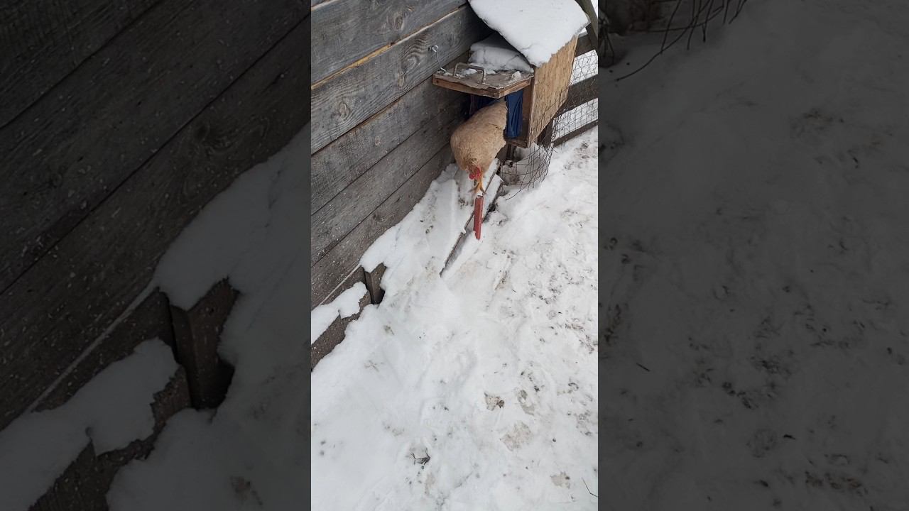 На свежий воздух