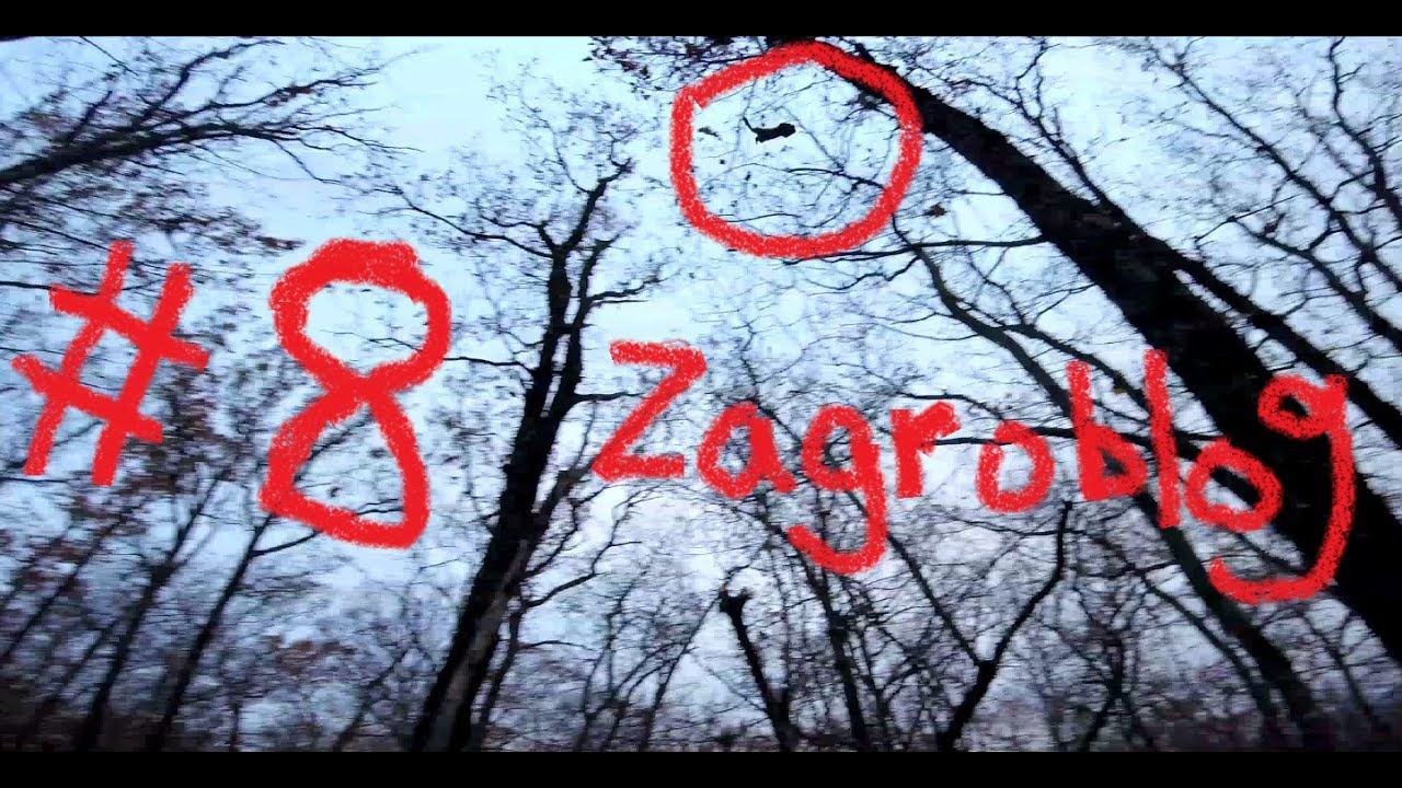 Алуштинский Zagroblog #8 НеоСократ и Летающая Куница