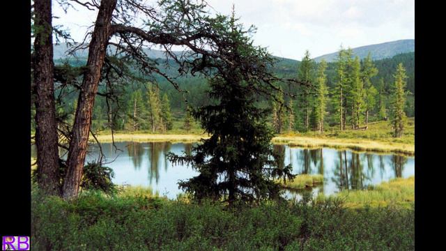 Радан Бласкис - Говоришь, чтоб остался я.