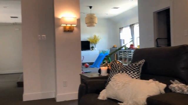 Media Room Tour *AND* Projector Screen Review with Elite Screens