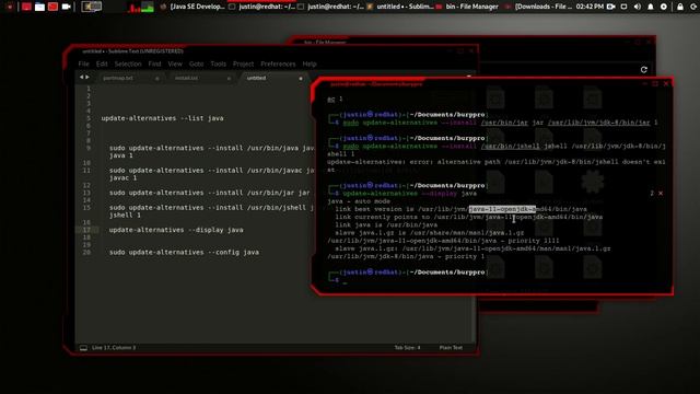install java 8 / openjdk8 on kali linux 2020.04 ( debian )
