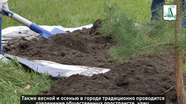 В рамках эколого-патриотической акции "Сад памяти" посажены сосны на Бульваре Защитников Сталинград