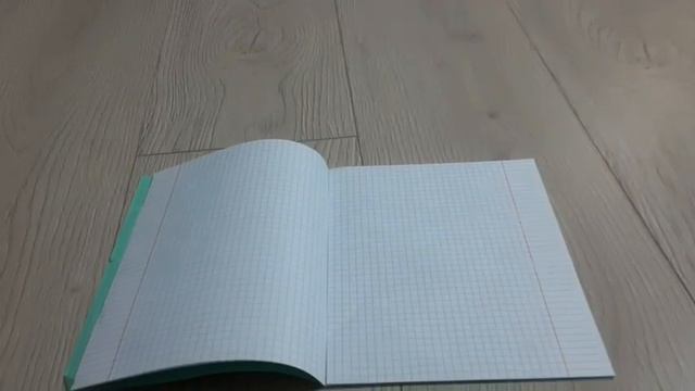 Мир глазами висы! (школа котов) вся жизнь Висы за 8 минут