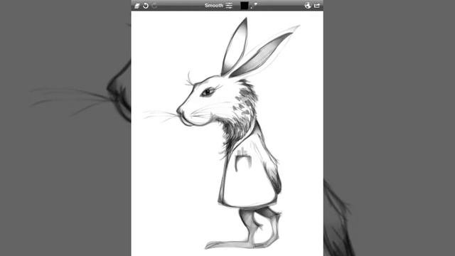 Rabbit Doc Sketch