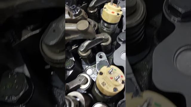 Cat c13 cylinder head change