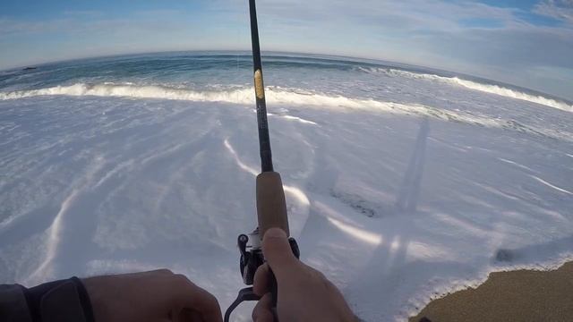 Surfperch Fishing surfcasting
