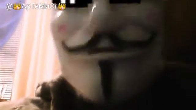 Моё видео из Kwai я шиколадный заяц