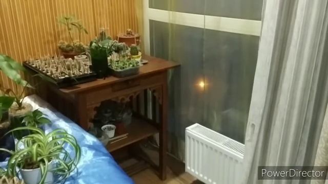 Смена окон проблему конденсата не решит. Ищем другие методы.