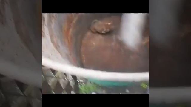 ПОДБОРКА СОБАКИ ДЕЛАЮТ ВЕРТУШКИ БОИ ЛАПАМИ И МНОГОЕ ДРУГОЕ 2020