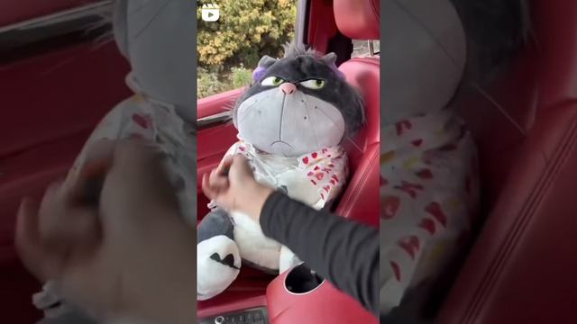 VID_85400417_002316_665.mp4