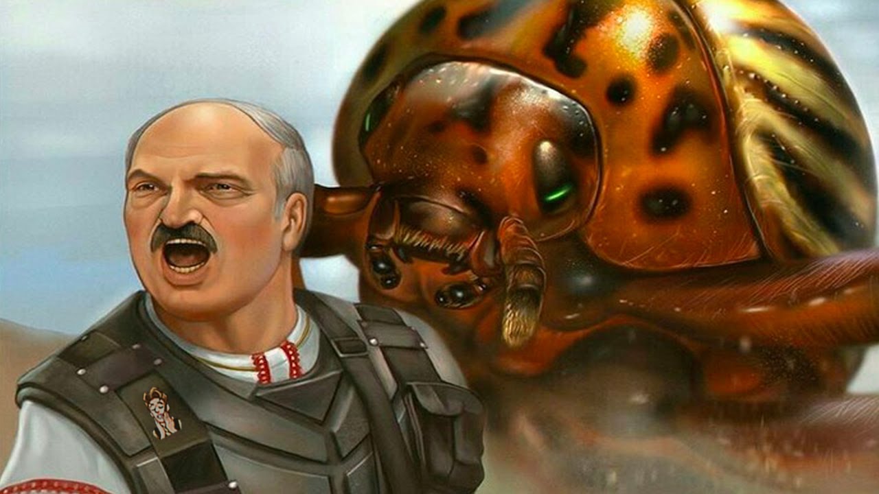 Разумные космические жуки нападают на человечество и пытаются его уничтожить