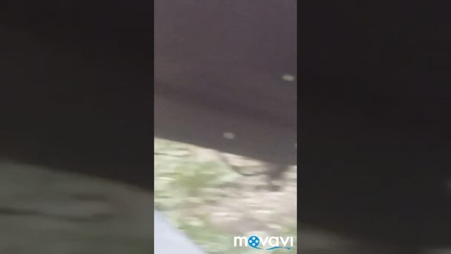 Дешевый вариант прорезинеть днище авто