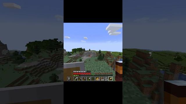 Minecraft - Имя, которое он заслужил!
