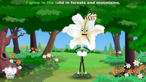 20 Best Flower Songs | 4K | Appu Series