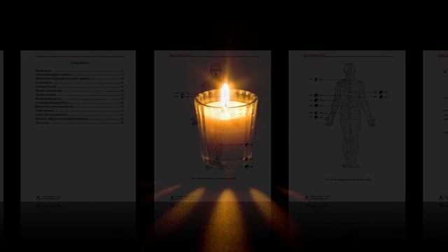 Купить книгу. Электропунктура Практическое руководство