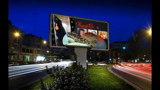 Планета Кошек. "Кошки и их человеки." Часть 2.
