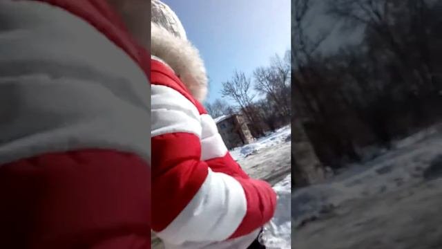 У кошки началась течка