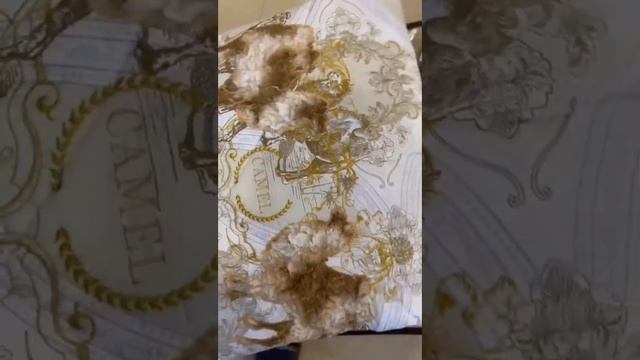 Сегодня у нас очень много новинок Текстиля ??? ХАСАВЮРТ Торговая база