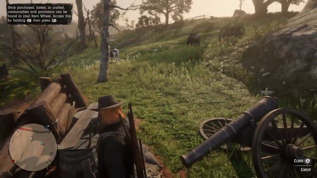 Red Dead Redemption 2 beta civil war battle field treasure map
