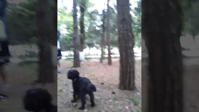 Парк Каспийск